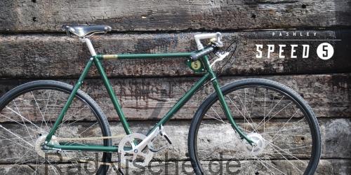 Pashley Speed 5 technische daten 